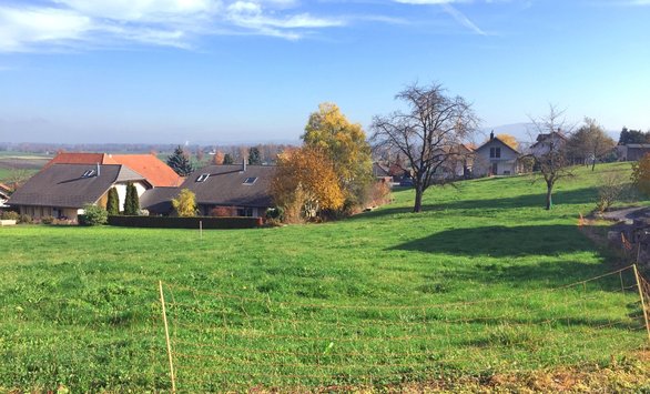 Bauland | IMMOSEEKER.CH