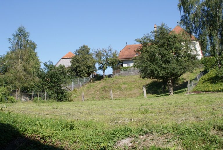 Bauland | IMMOSEEKER.CH