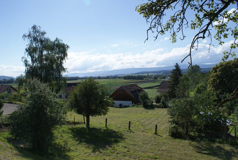 Bauland | IMMOSEEKER.CH