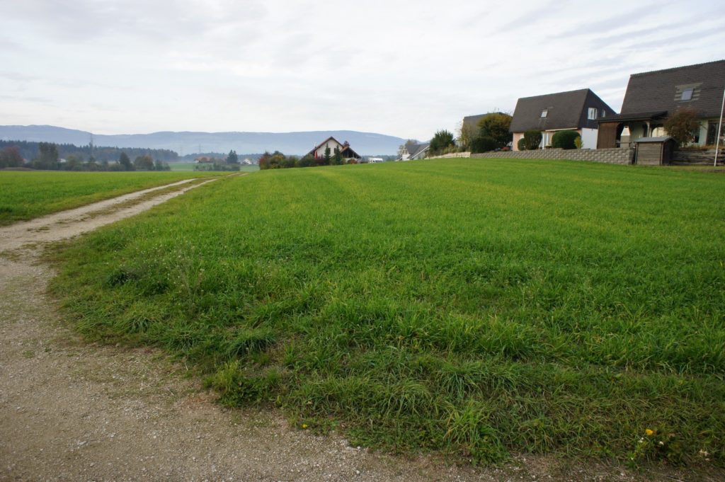 Bauland | IMMOSEEKER.CH