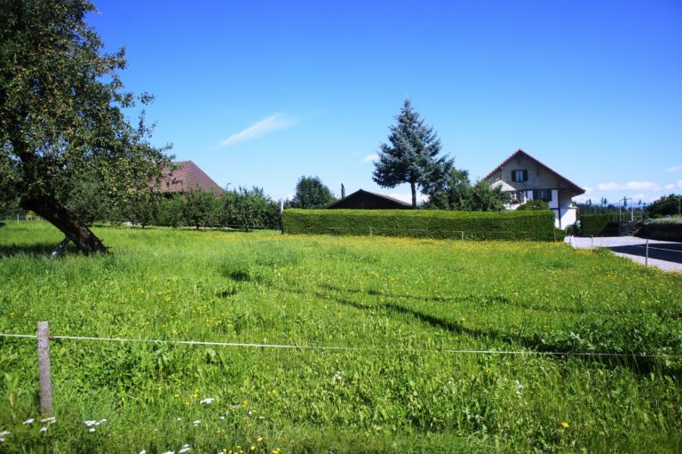 Bauland | IMMOSEEKER.CH