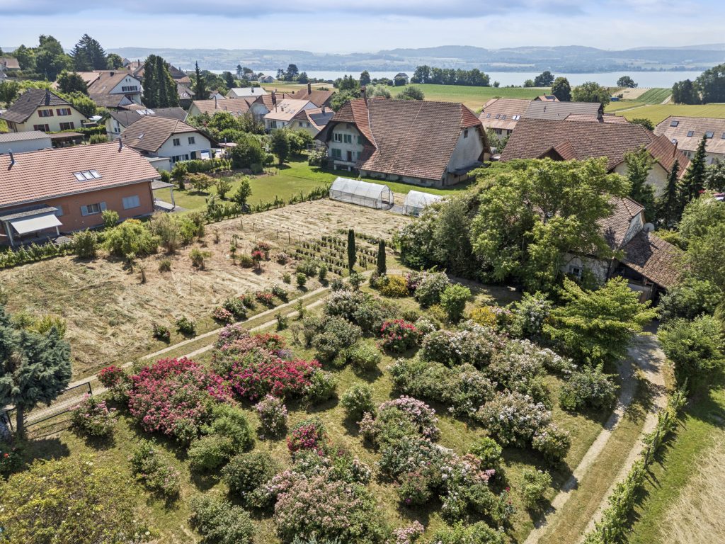 Bauland in Lugnorre FR | IMMOSEEKER.CH