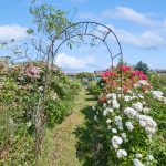 Bauland in Lugnorre FR | IMMOSEEKER.CH