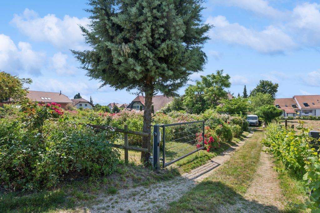 Bauland in Lugnorre FR | IMMOSEEKER.CH