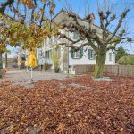 Restaurant in Düdingen FR | IMMOSEEKER.CH