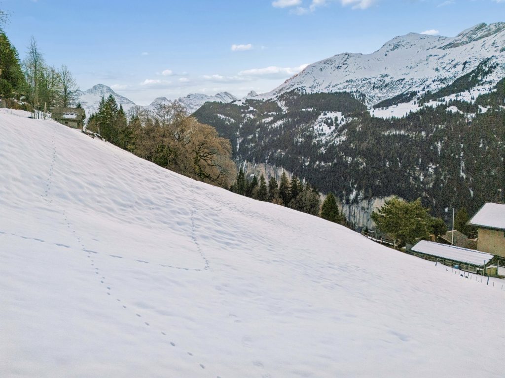 Bauland in Wengen BE | IMMOSEEKER.CH