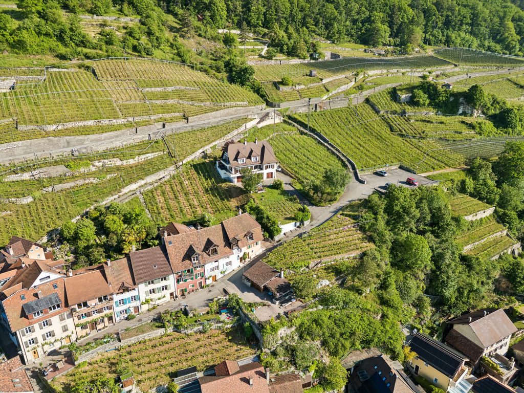 Einfamilienhaus in Tüscherz BE | IMMOSEEKER.CH