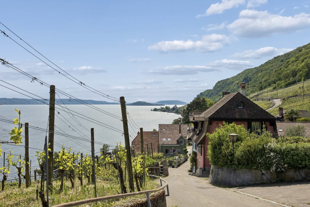 Einfamilienhaus in Tüscherz BE | IMMOSEEKER.CH