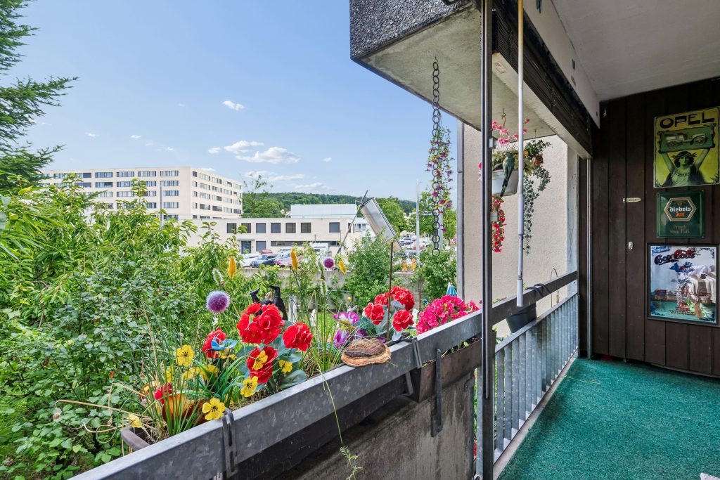 Gartenwohnung in Schlieren ZH | IMMOSEEKER.CH