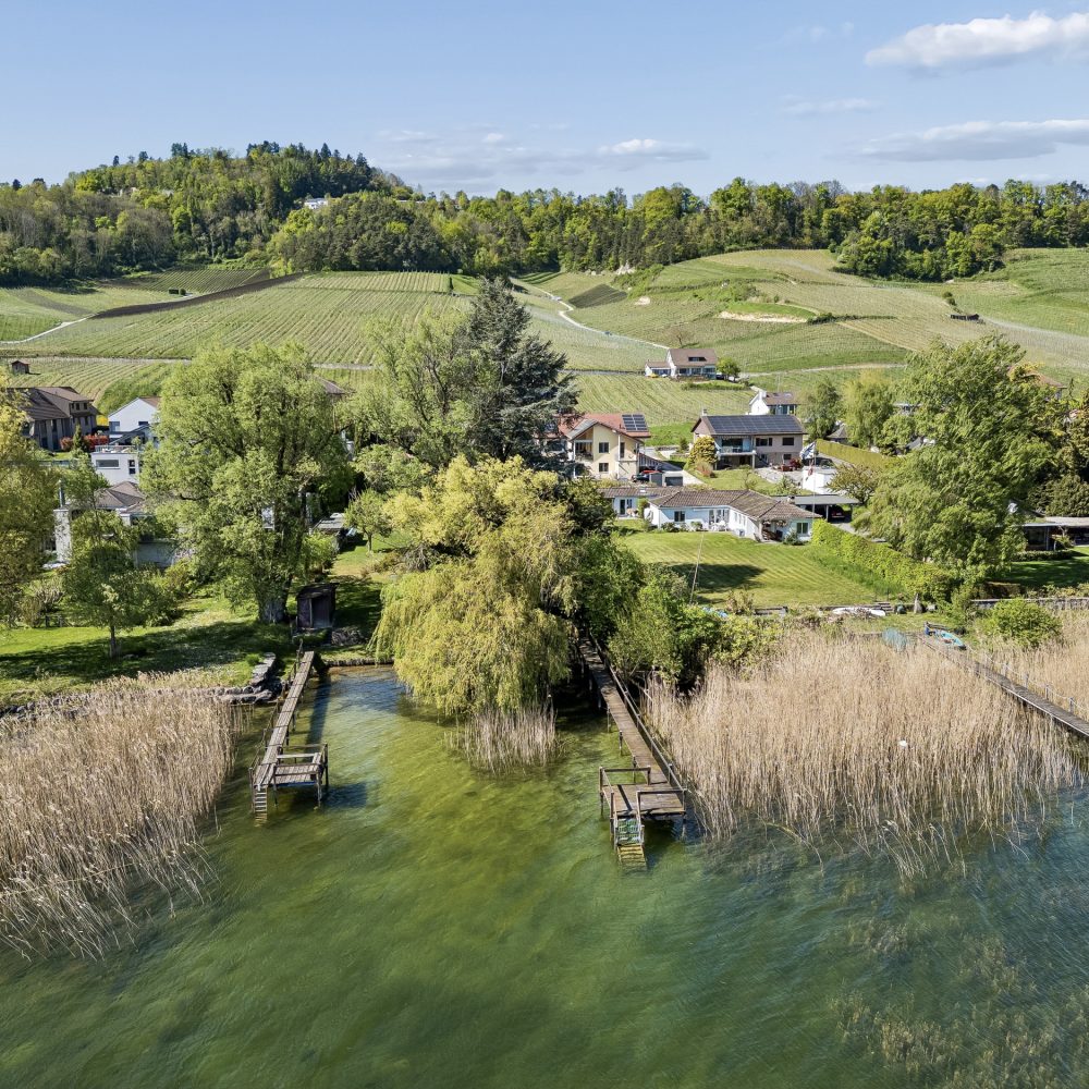 Einfamilienhaus in Môtier FR | IMMOSEEKER.CH